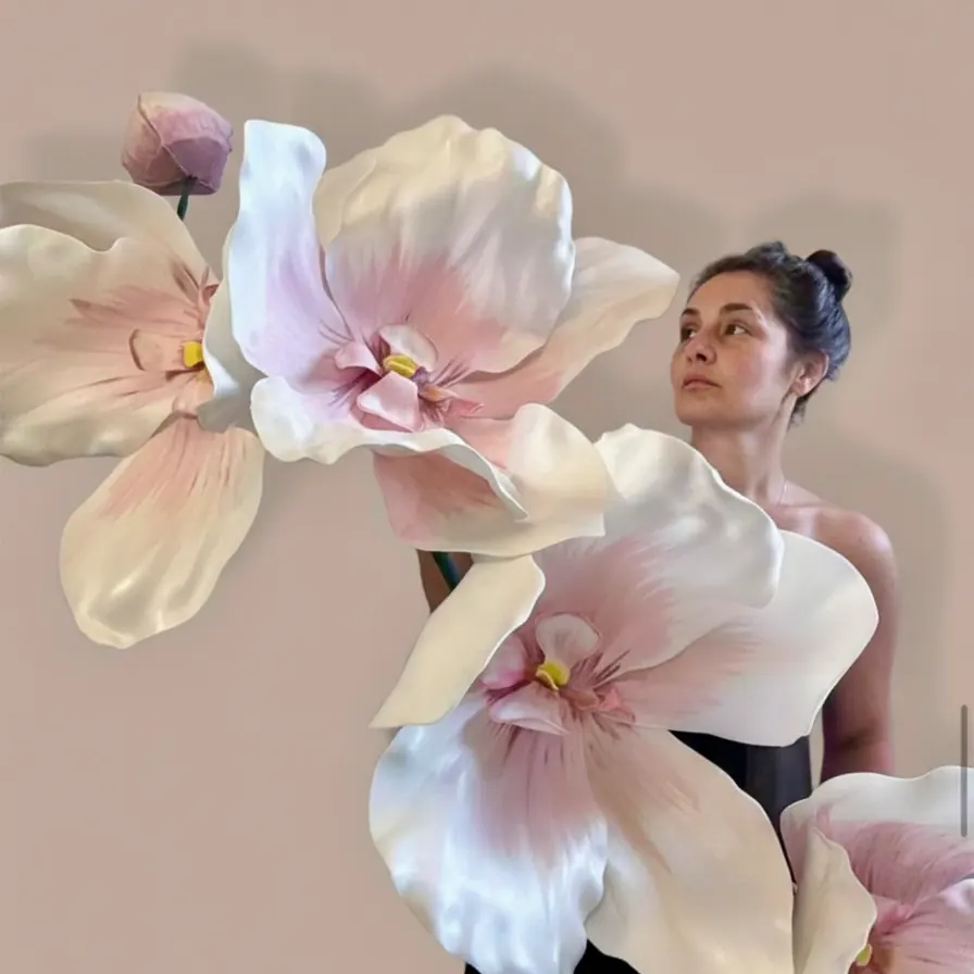 თბილი სპილოსძვლისფერი