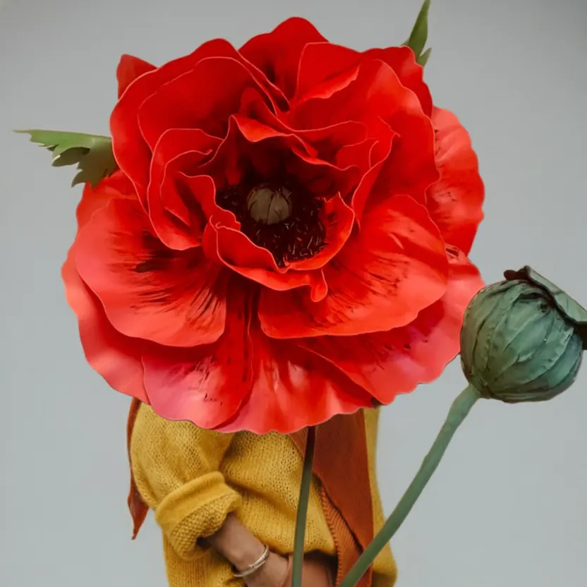 მარჯნისფერი წითელი